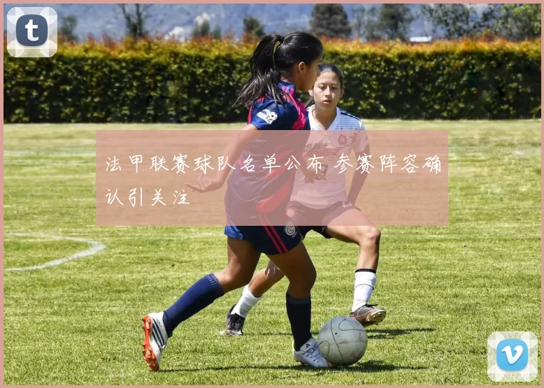 法甲联赛球队名单公布 参赛阵容确认引关注