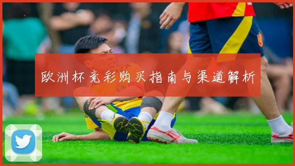 欧洲杯竞彩购买指南与渠道解析