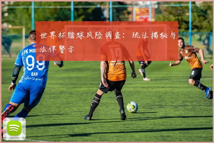 世界杯赌球风险调查:玩法揭秘与法律警示